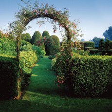 Metal-garden-arch